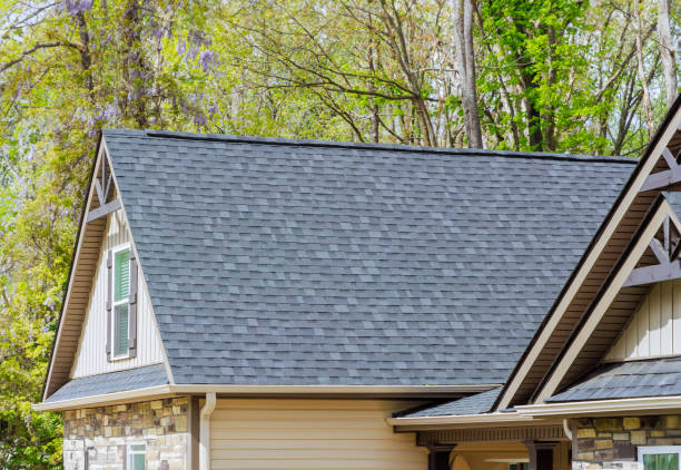 Best Roof Ventilation Installation  in Franklin, VA